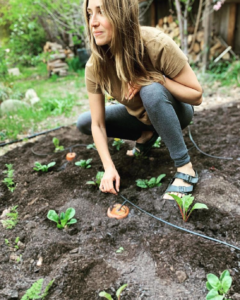 DIY Terra-Cotta Olla Self-Watering System for Gardening