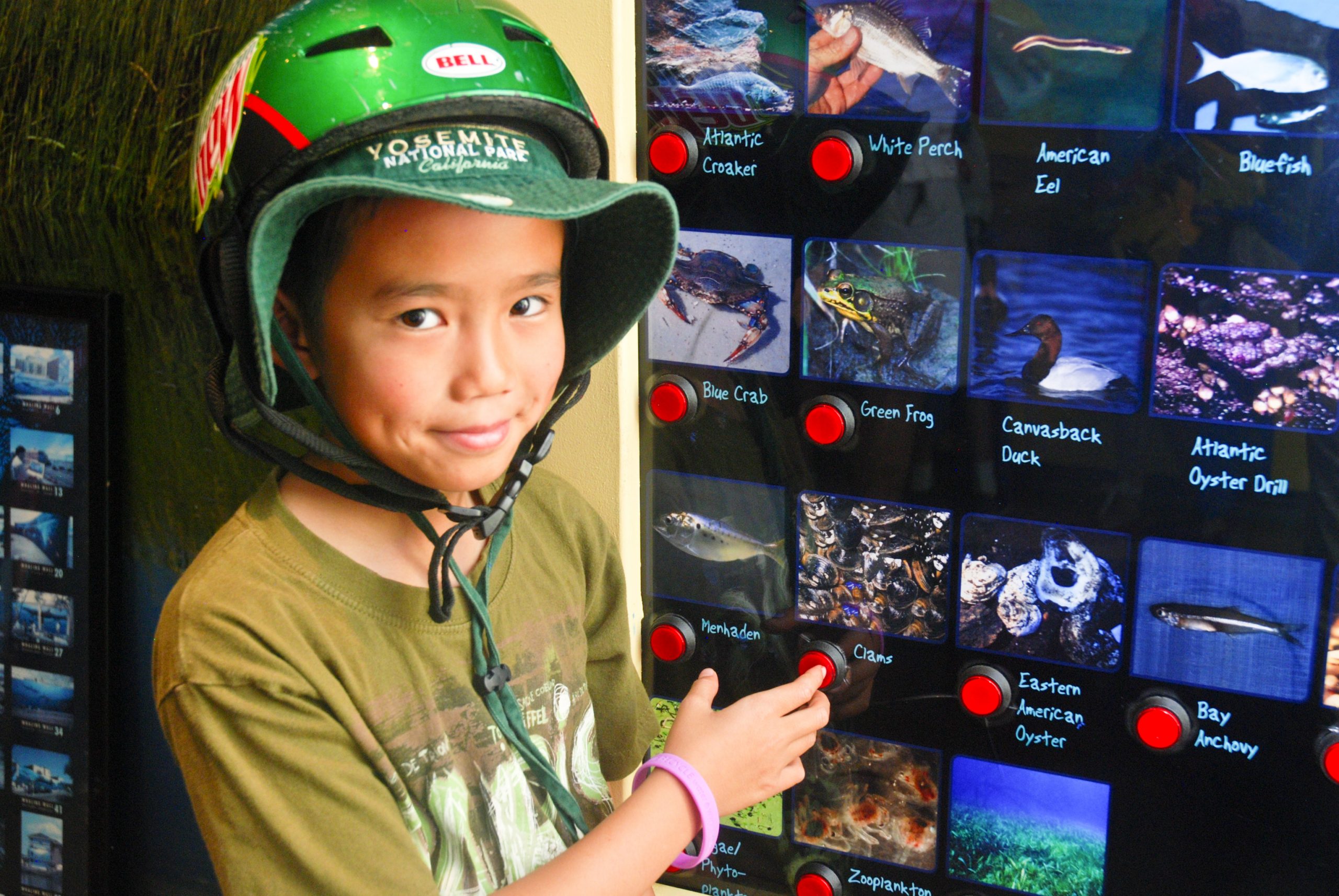 clean-water-mobile-learning-experience-water-use-it-wisely