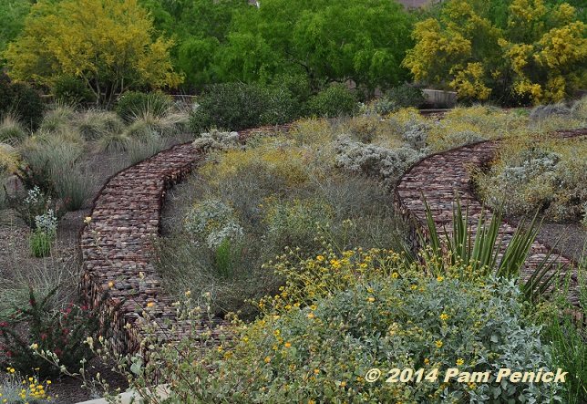 Terraced beds supported by gabion walls contain desert-adapted species like ornamental grasses, agaves, brittlebush, and desert marigold.