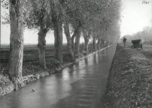 CI-37 Irrigation canal in the Salt River Valley circa 1900s