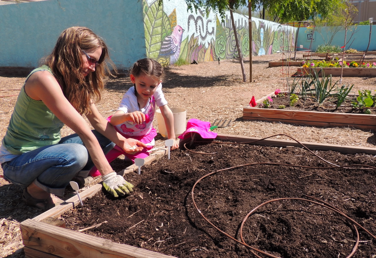 You may also consider gardening at a community garden like Mesa Urban Garden in downtown Mesa, AZ.