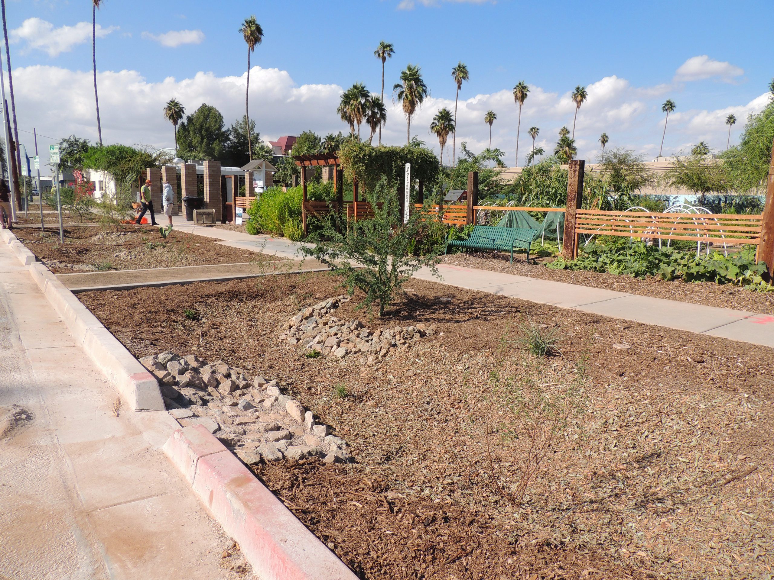 The completed project will allow the City of Mesa to evaluate low impact development practices.