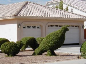 Sheared shrubs might be more whimsical, but they use more water!