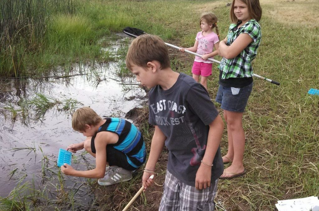 Kids at pond near Sheep Springs