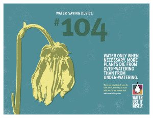 water-use-it-wisely-conservation-tip