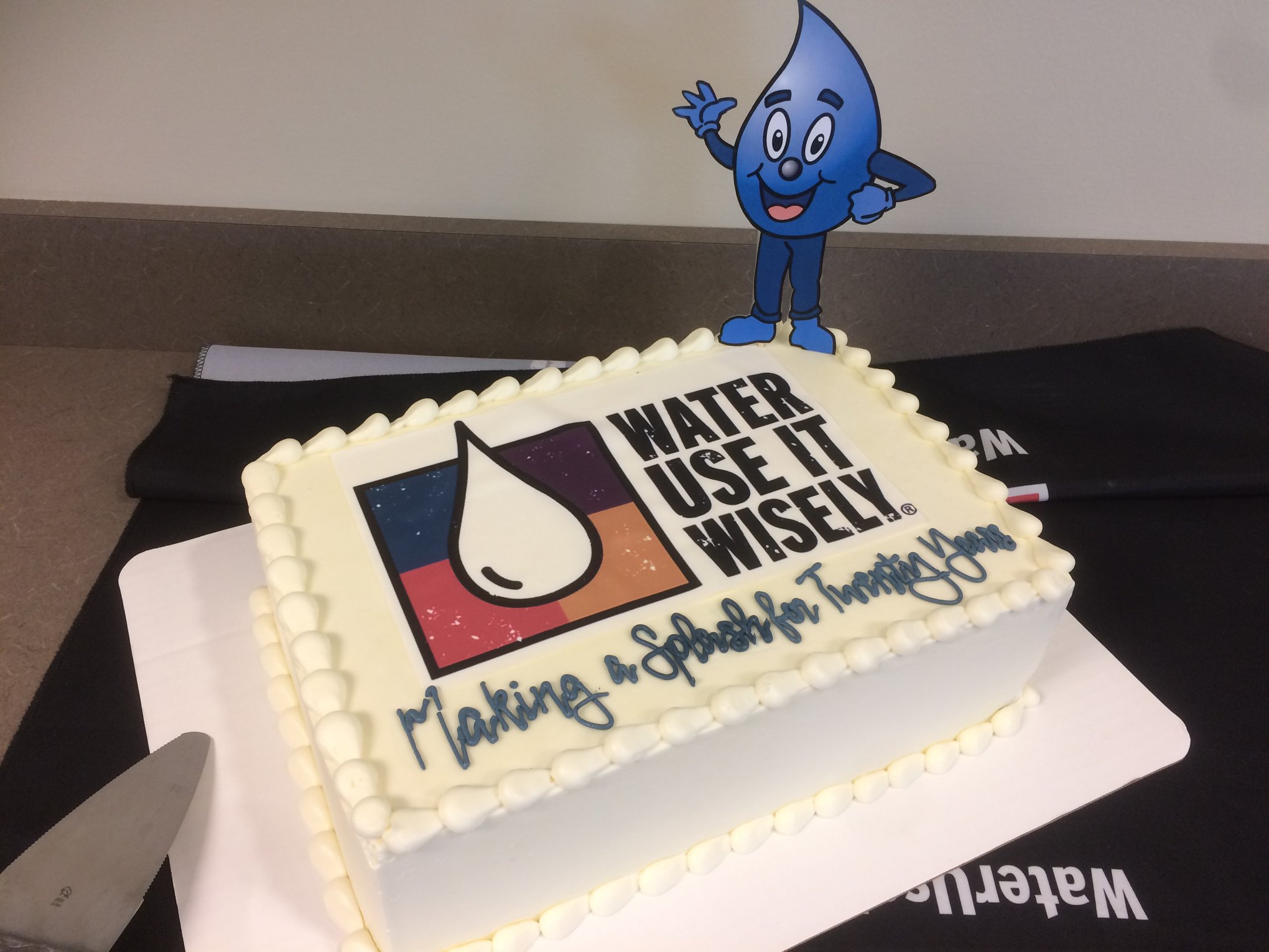 Water - Use It Wisely Cake with Wayne Drop Cut Out