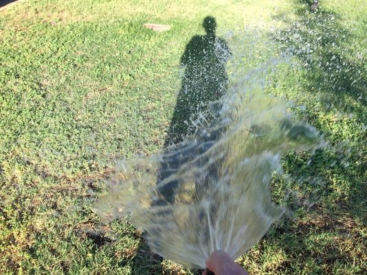 Watering the Yard