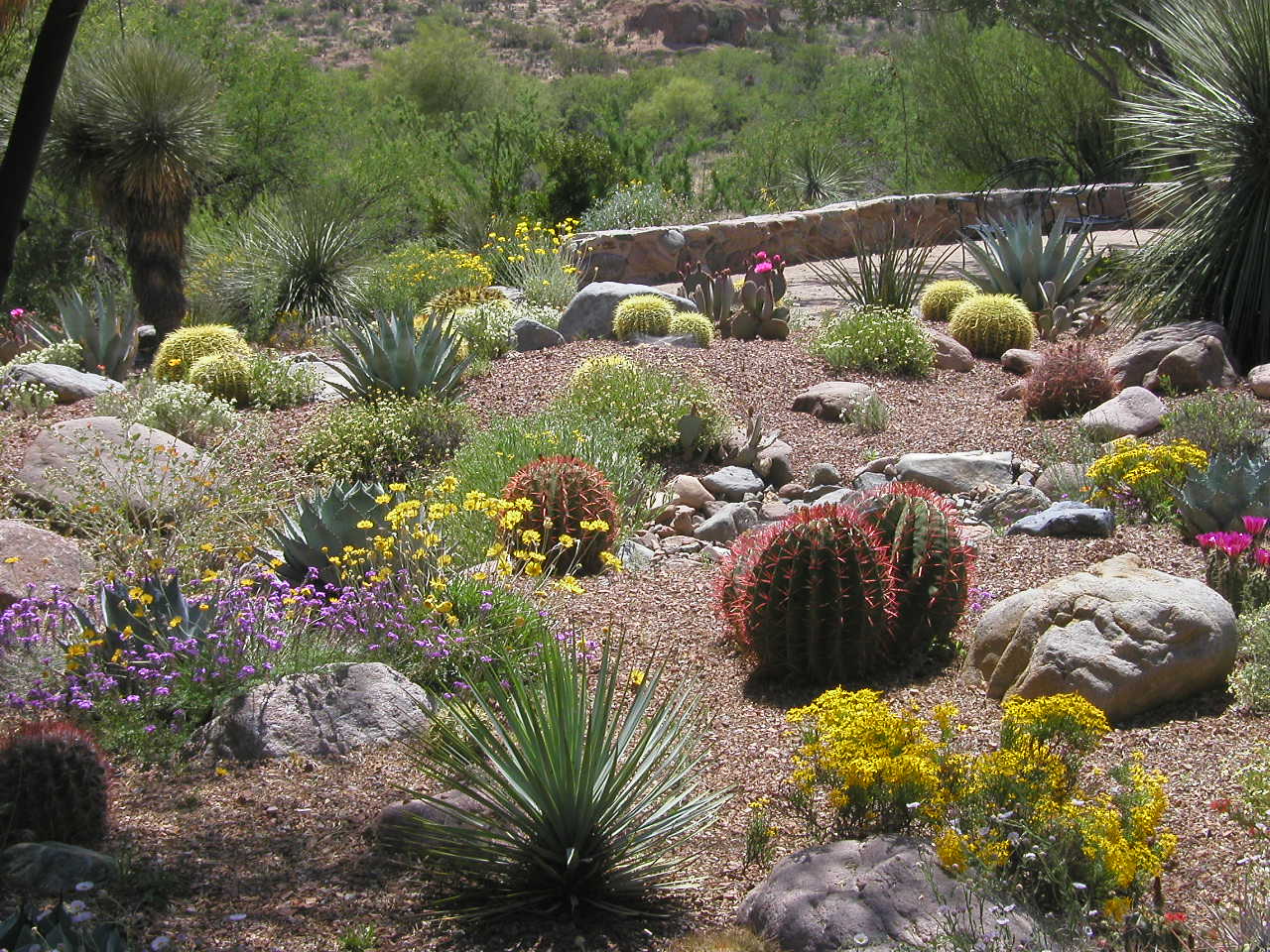 Landscaping with Nature – Xeriscape - Water Use It Wisely