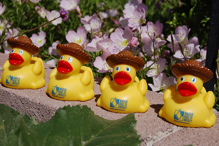 water use it wisely logo on four rubber ducks in a row