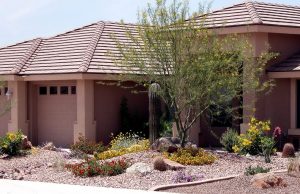 A Xeriscape uses half as much water as grass.