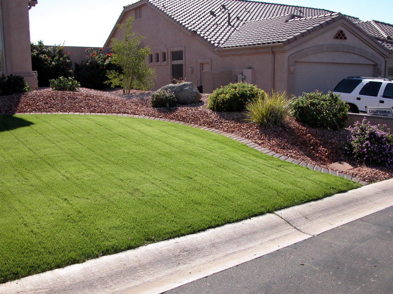 Overseeding A Winter Lawn Water Use It Wisely