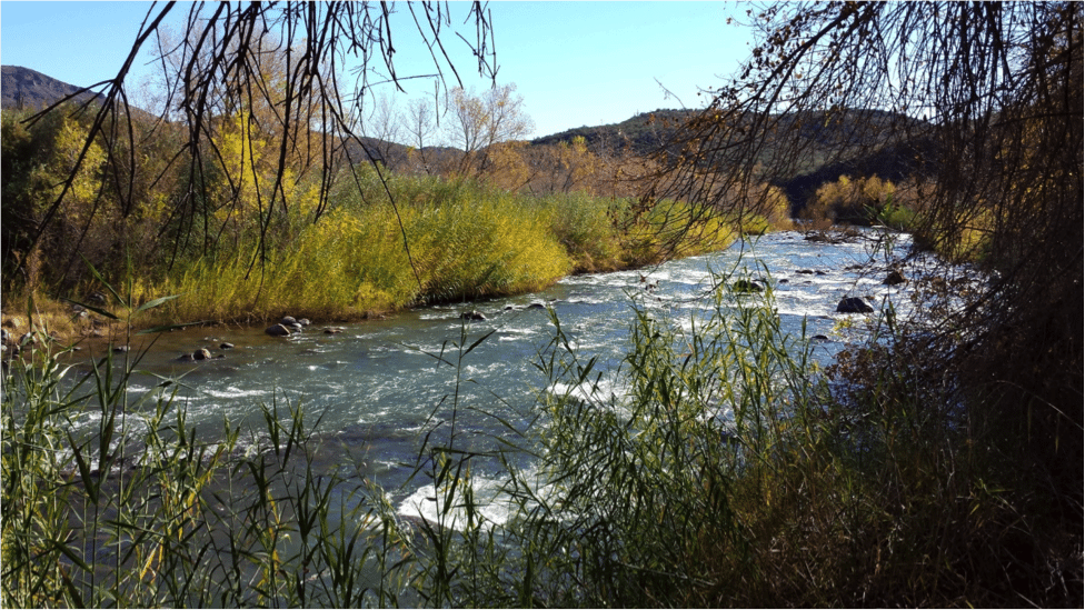 Verde River Arizona