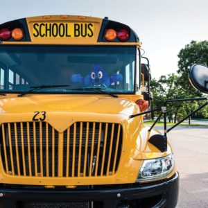 Wayne Drop rijschoolbus