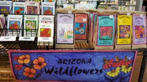 Arizona Wildflower packages at a local nursery
