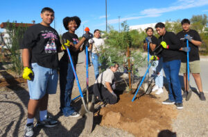 Mesa High School students planting