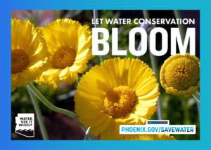 Phoenix Ad - "Let Water Conservation Bloom"