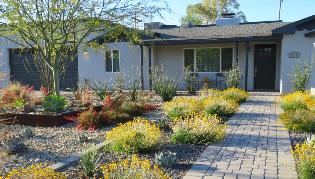 House with Xeriscape